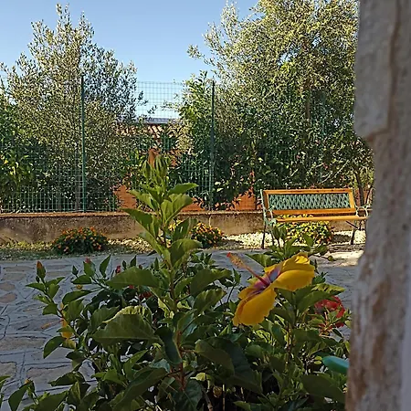 Cilento Mare Apartmán Marina di Camerota