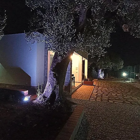 Cilento Mare شقة *