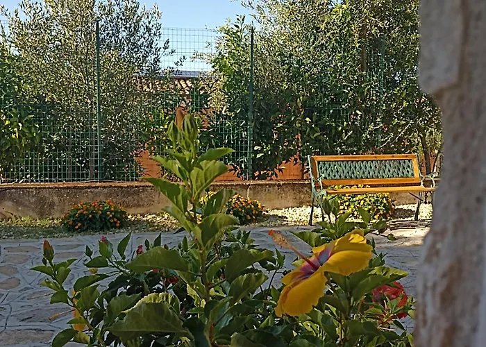Cilento Mare 公寓 卡梅罗塔的码头
